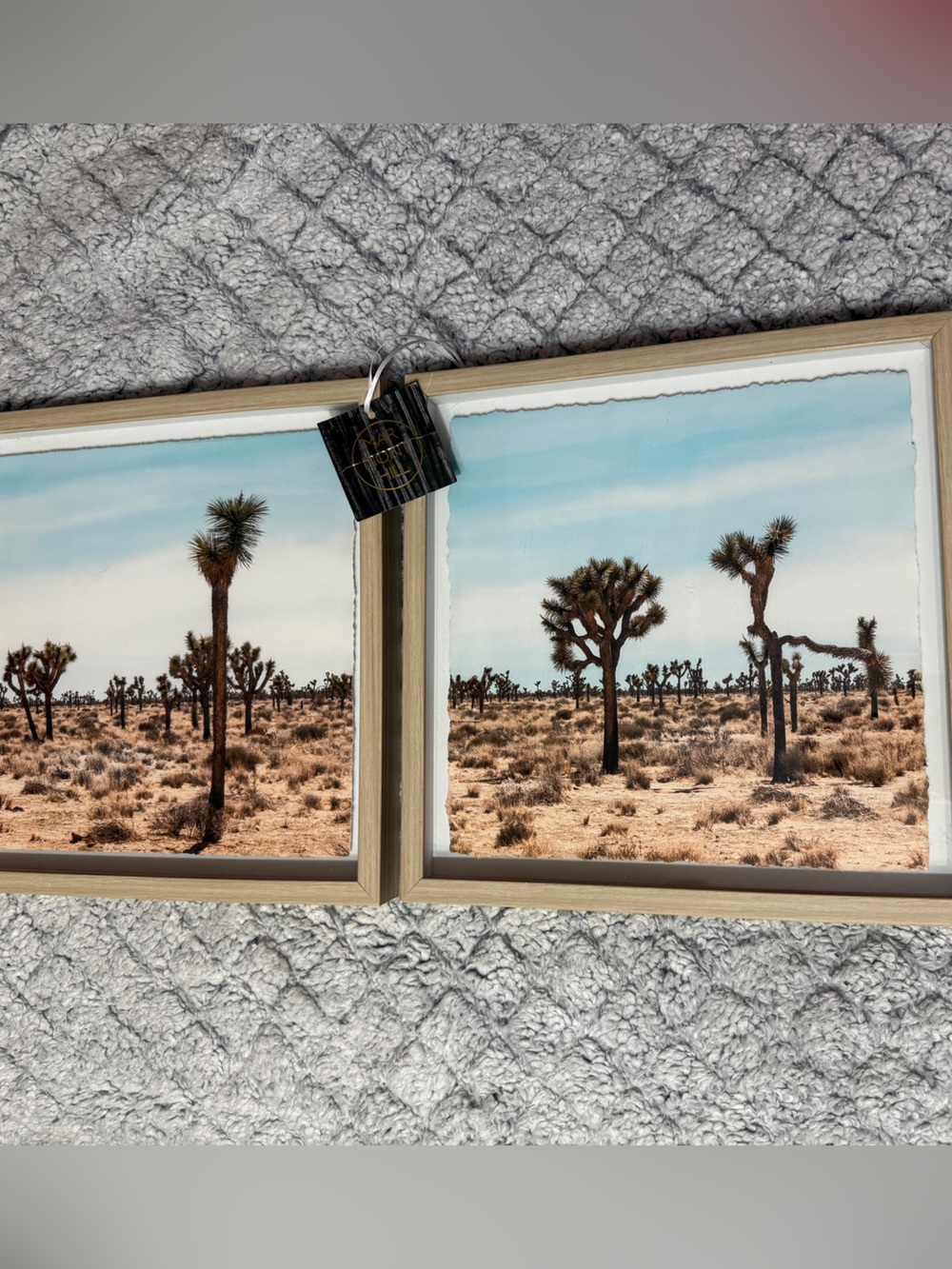 Joshua Tree Mar Mont Hill 13x13 Framed Wall Art - Beige Frame, Blue Sky